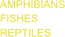 AMPHIBIANSFISHES
REPTILES